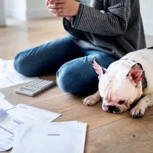 Financial Peace University vs. True Financial Freedom vs. Crown Financial MoneyLife